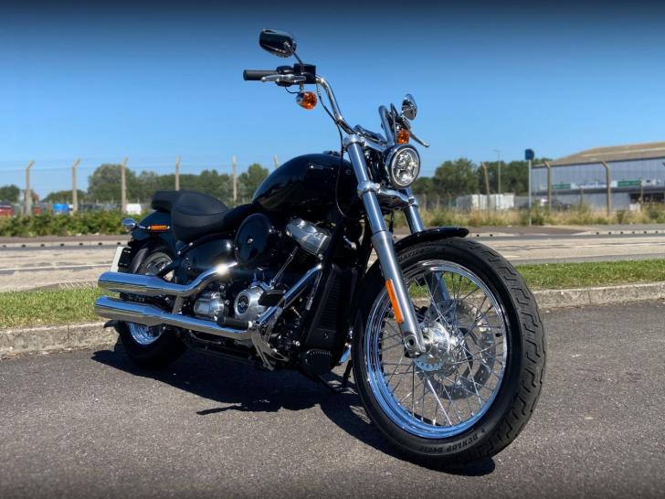 Harley-Davidson FXST SOFTAIL STANDARD 174 