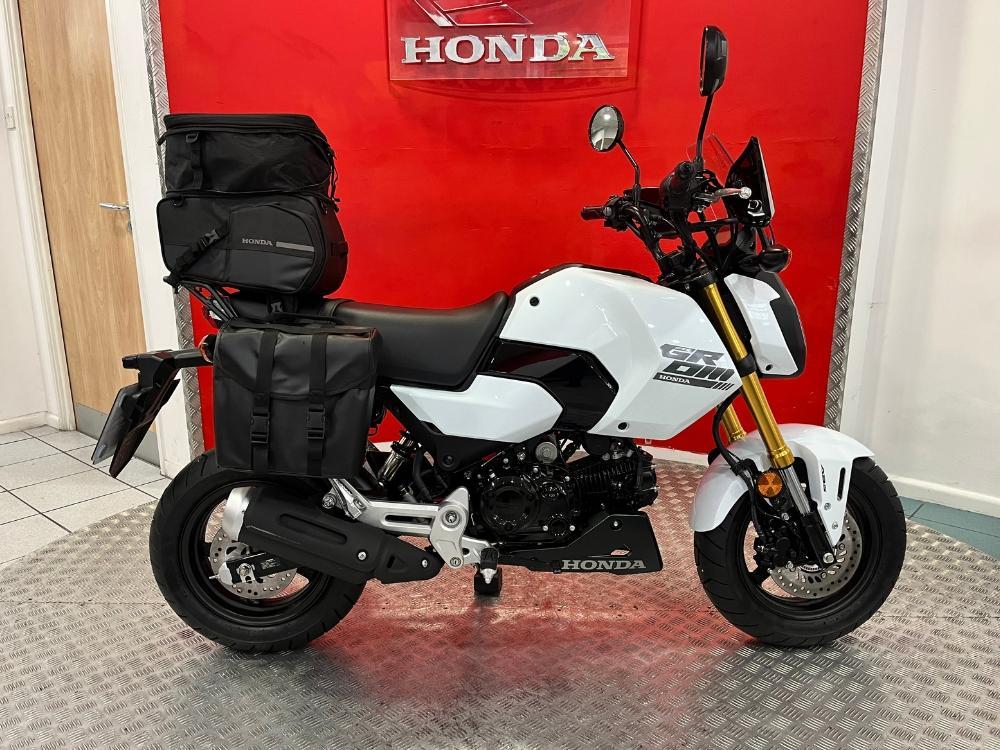 Honda MSX125 GROM WITH SHOWROOM PACK for sale in Surrey Bikes in stock