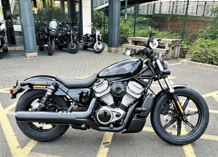 Harley nightster best sale for sale